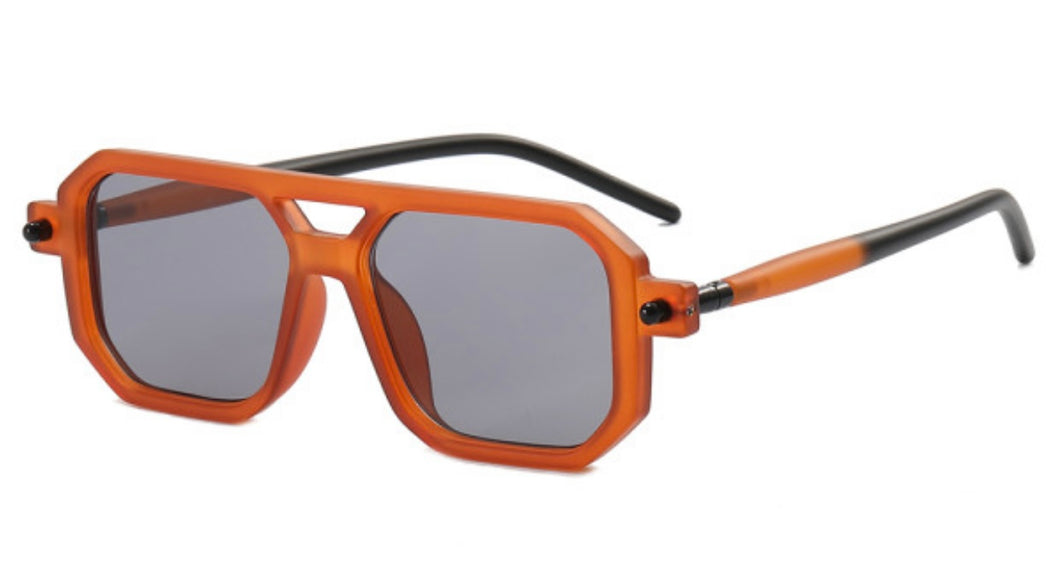 Raymond Unisex Sunglasses